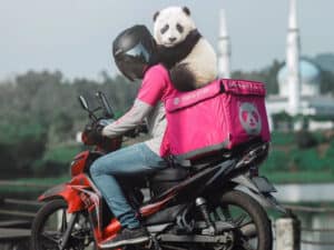 panda rider